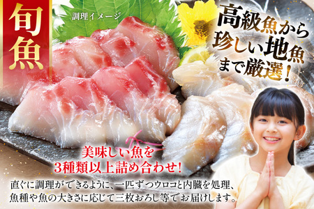 鮮魚 詰め合わせ 旬の獲れたて鮮魚 4種 ～ 5種 [ひらど新鮮市場 長崎県 平戸市 hr42bgy400123]