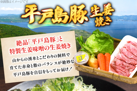 豚肉 生姜焼き 平戸島豚の 生姜焼きセット 約 500g 安心の地元 野菜付 [ひらど新鮮市場 長崎県 平戸市 hr42bgy400178]