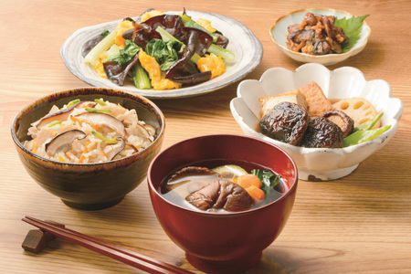 きのこ しいたけ きくらげ 干し椎茸 スライス干し椎茸 干しきくらげ 椎茸の粉末 訳あり乾椎茸 小粒椎茸 セット 6回 定期便 [きのこ屋 長崎県 平戸市 hr42bgy410172]