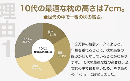 10代向けの枕 THE PILLOW Preset 16