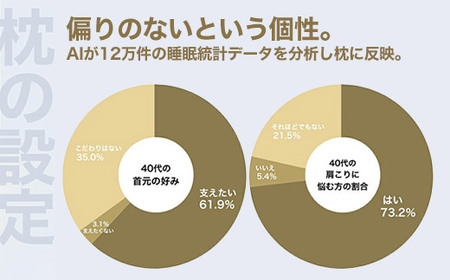 40代向けの枕 THE PILLOW Preset 19