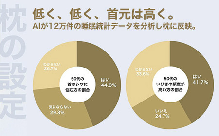 50代向けの枕 THE PILLOW Preset 20