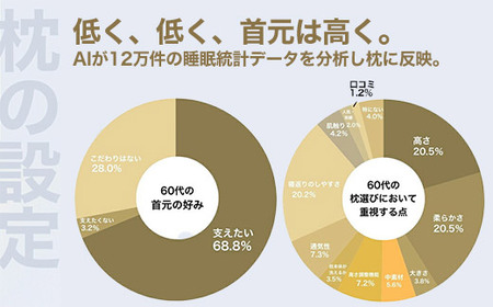 60代向けの枕 THE PILLOW Preset 21