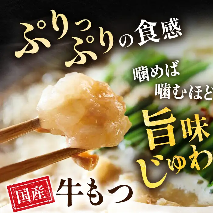 前田屋もつ鍋（醤油味）2人前
