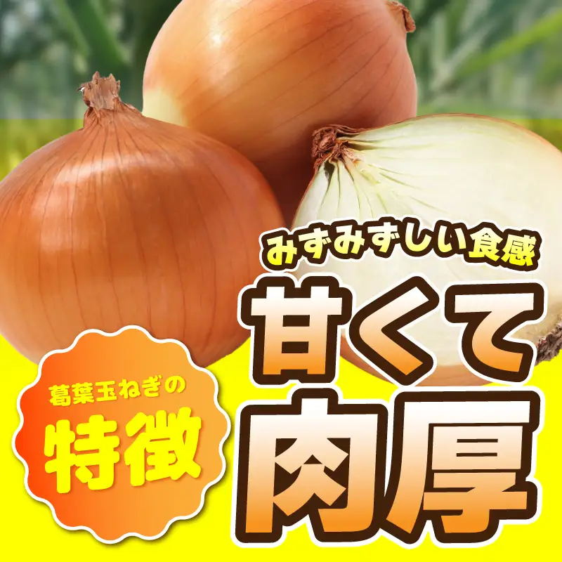 葛葉玉ねぎ 6kg【15〜20玉 泉佐野市 泉州たまねぎ 肉厚 甘い】