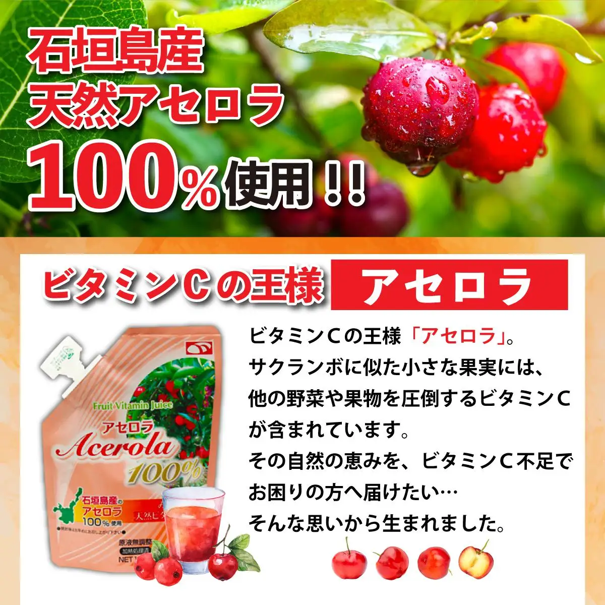 石垣島産　天然アセロラ100％ジュース　OO-1