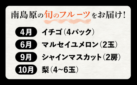 【4回定期便】プロ厳選 旬のフルーツ定期便 / 果物 フルーツ 果物定期便 フルーツ定期便 / 南島原市 / 愛2農園[SGG002]