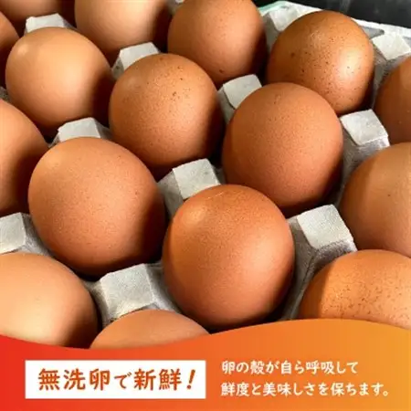 養鶏場から直送!甘くておいしい「山頂たまご」赤たまご　40個【1486633】
