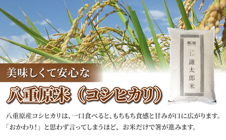 【令和7年産】八重原産コシヒカリ白米2kg 特別栽培米（減農薬・減化学肥料栽培）【太陽と大地】