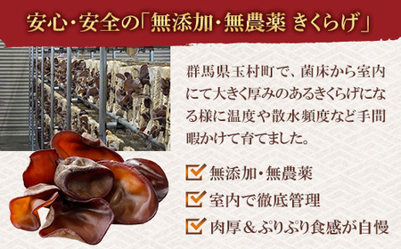 群馬県産 生きくらげ (こたちゃんきくらげ) 500g 無添加 無農薬 国産