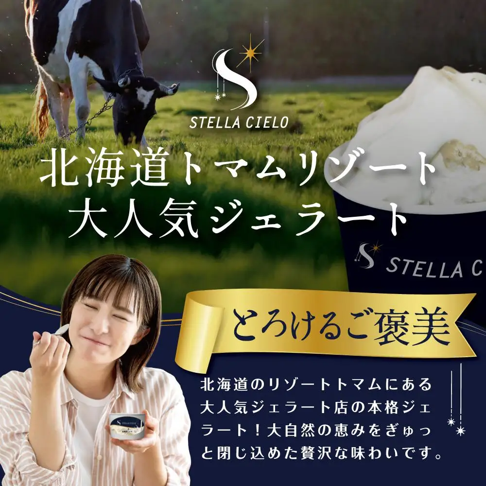 STELLA CIELO 北海道ジェラート10個 | 北海道ミルク チョコラータ 北海道クリームチーズ 北海道産十勝あずき 北海道恵比寿かぼちゃ 北海道赤肉メロン 北海道ハスカップ ラベンダー 北海道トウモロコシ