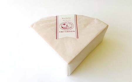 ラクレット1kg 北のハイグレード食品 乳製品 チーズ 加工品 食品 F6S-408