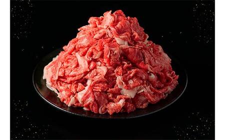 【和牛セレブ】能登牛 切り落とし 1kg（500g×2P）【2026年1月以降発送】牛 牛肉 ビーフ 肉 黒毛和牛 能登牛 和牛セレブ F6P-2530