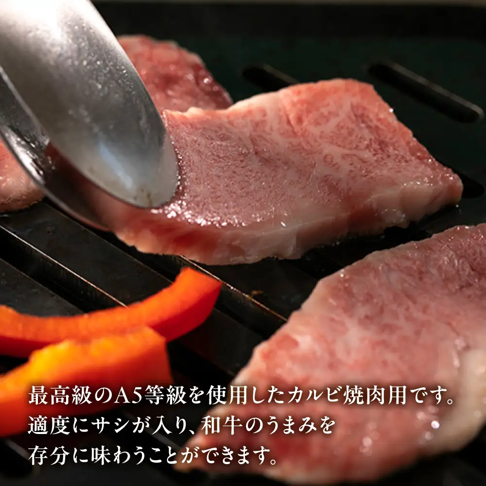 A5飛騨牛 カルビ 焼肉 300ｇ（2人前） 牛肉 | カルビ