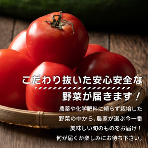 【期間限定】 トマトファクトリー 野菜 詰め合わせ セット トマト きゅうり 2kg 箱入り とまと キュウリ 野菜 やさい 野菜セット 新鮮 採れたて 季節 甘い 糖度 高糖度 あまい 食材 旬 栽培 産地直送 農家直送 農家応援 滋賀県 日野町 ふるさと納税 送料無料