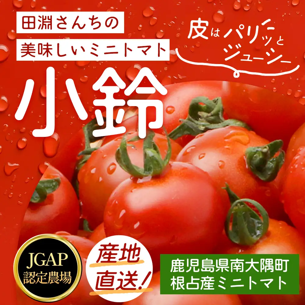 [数量限定]ミニトマト２種食べ比べセット(350g×２種) GP-3｜ミニトマト 野菜 やさい 食品 人気 おすすめ 美味しい 産地直送 小鈴 シュガープラム 食べ比べ セット