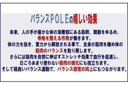国産　バランスポール_【G0084】