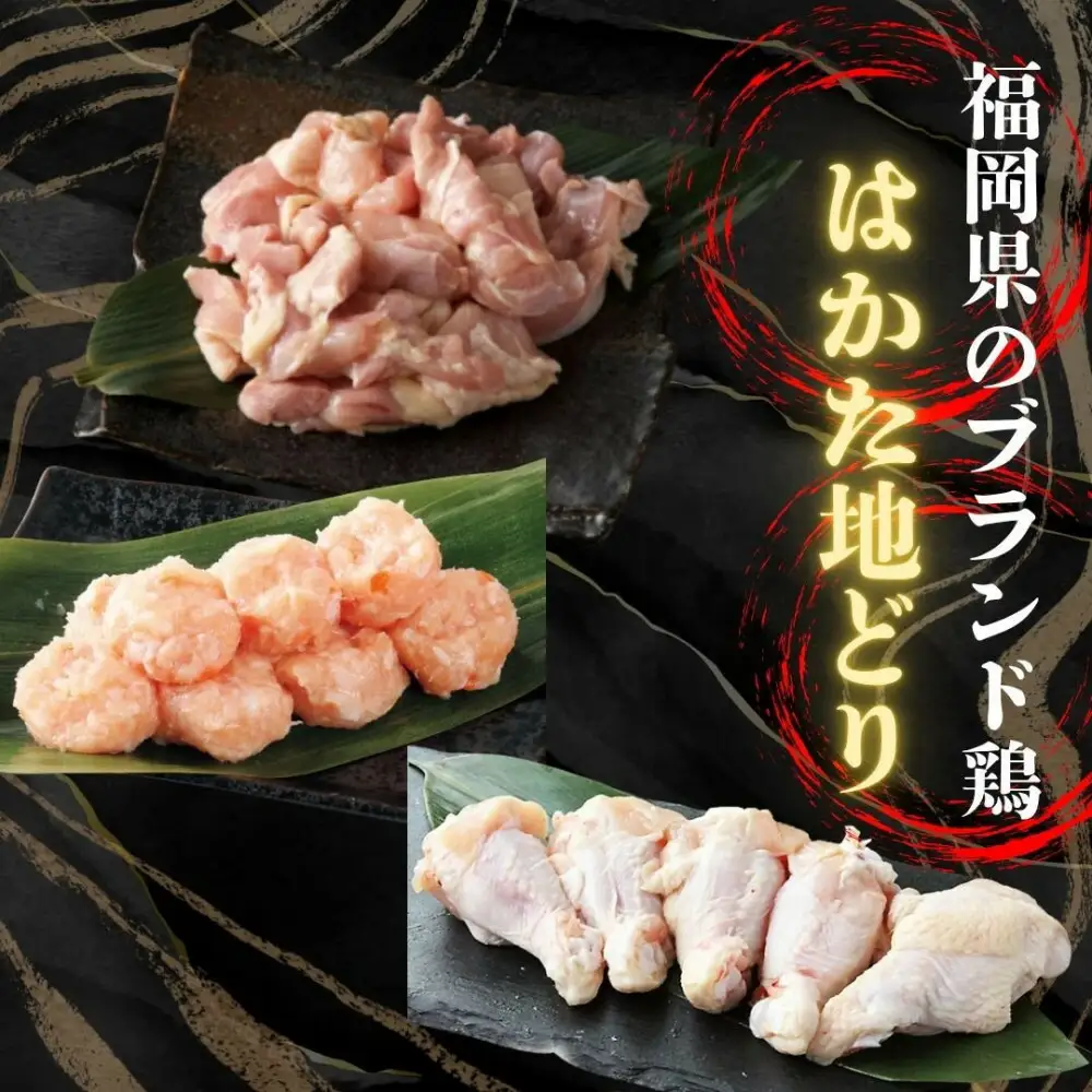 【福岡グルメ】はかた地どり使用博多水炊きセット３人～４人前