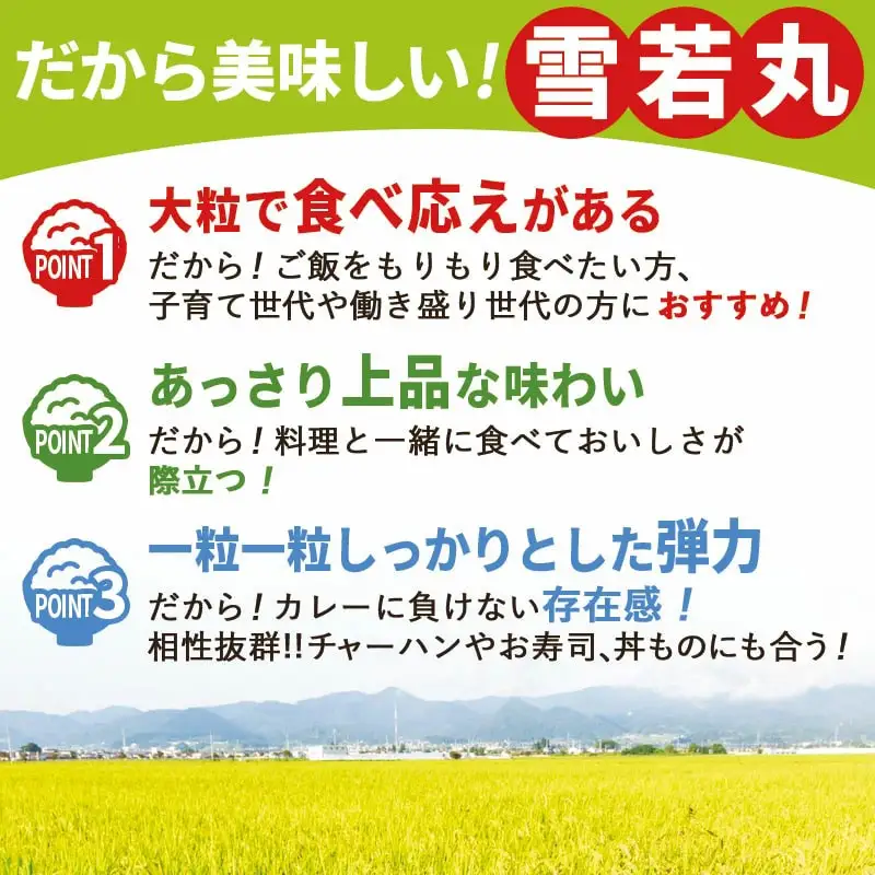 雪若丸 10kg [ 令和7年産 ] 米 精米 山形 08-30-038