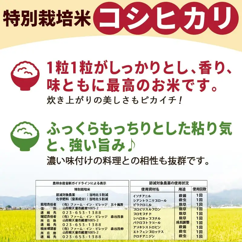 コシヒカリ 10kg [ 令和7年産 ] 米 精米 山形 08-30-039