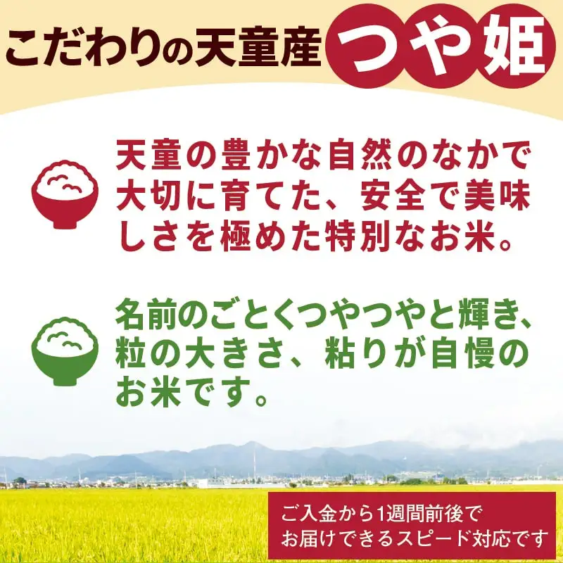 つや姫 5kg [ 令和7年産 ] 米 精米 山形 08-30-037