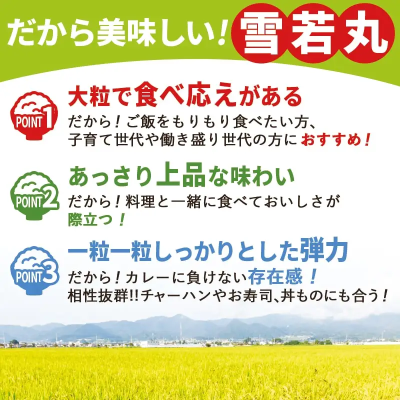 雪若丸 5kg [ 令和7年産 ] 米 精米 山形 08-30-035