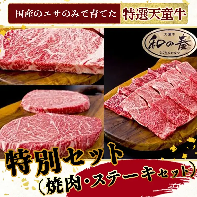 農林水産大臣賞受賞 特選 天童牛 " 和の奏 " 特別 セット ( 焼肉 ・ ステーキ セット ) 山形牛 和牛 牛肉 08-27-025