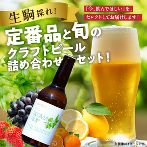 IKOMA BEER 季節のおまかせ2本セット クラフトビール 地ビール 生駒ビール 詰め合わせ 季節のおまかせ ビール 贈り物 プレゼント 飲み比べ 醸造 飲みやすい フルーティー 香り豊か 家飲み 晩酌 週末 乾杯 手土産 宅飲み ご当地 奈良県 生駒市 送料無料