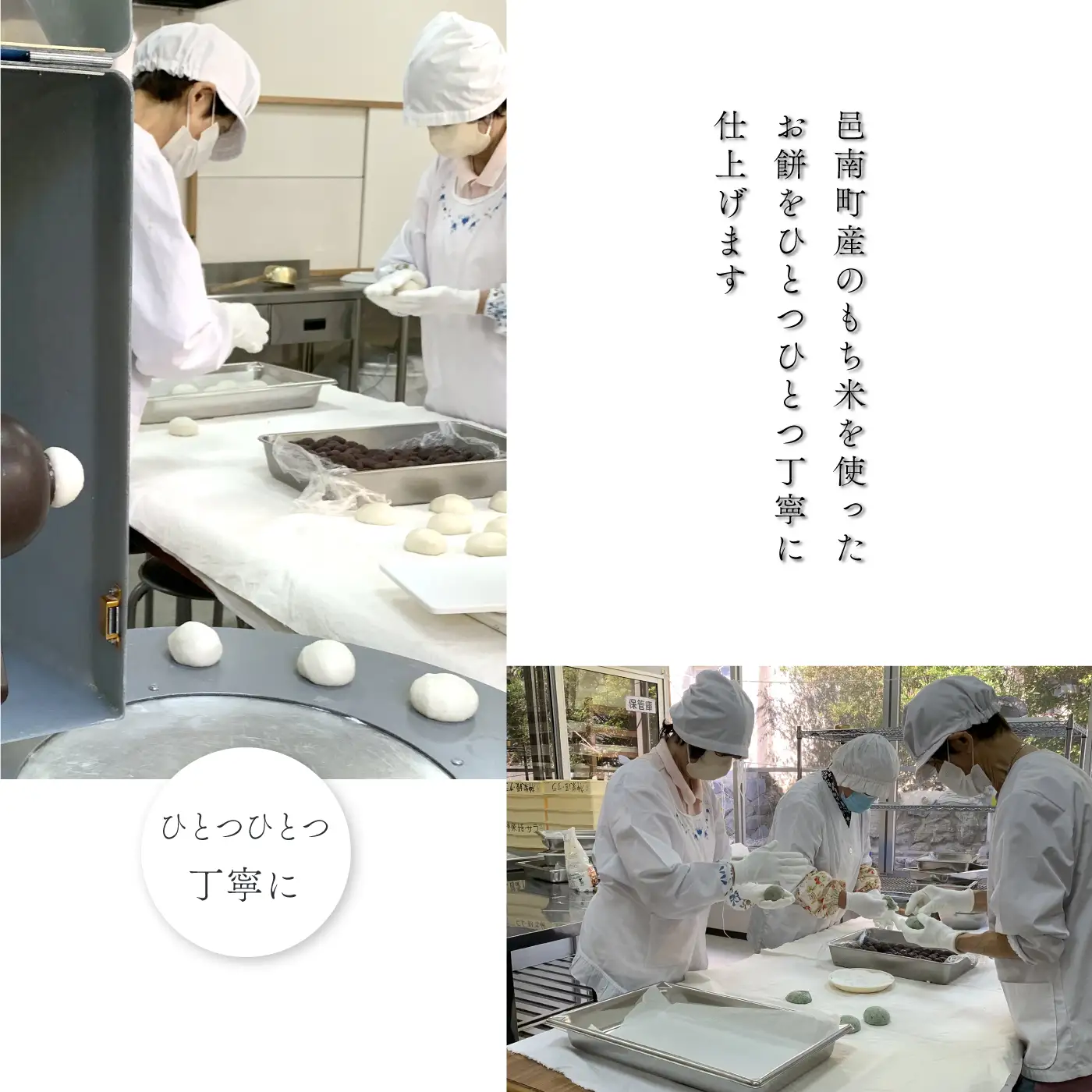 杵つき餅（急速冷凍） あん入り10個（白 5個・よもぎ 5個）・丸餅（白）10個