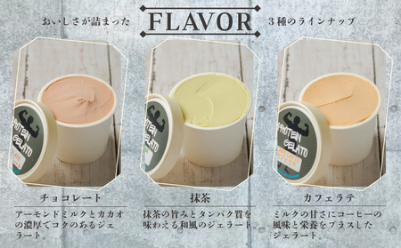 無脂肪乳で作るプロテイン入りジェラート