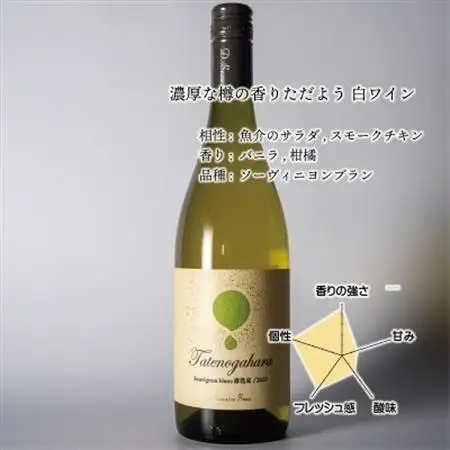 立野原ソーヴィニヨンブラン樽熟成2023【配送不可地域：離島】【1623352】