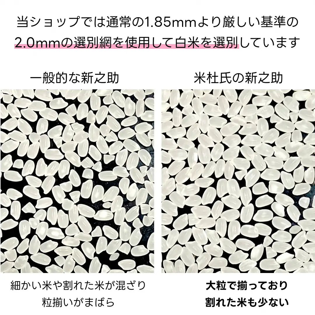【令和7年産】【12か月定期便】 新潟県 阿賀野市産 新之助 5kg×12回 計 60kg 米杜氏 壱成 白米 精米 大粒 つや 光沢 弾力 芳醇  米 こめ コメ 1H55193