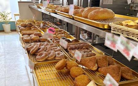 家計応援！大満足 市場のパン屋さんロスパンセット 20～25個 パン詰め合わせ セット おまかせ 訳あり 総菜パン 菓子パン パン セレクトパン セット 食品 F4F-8598