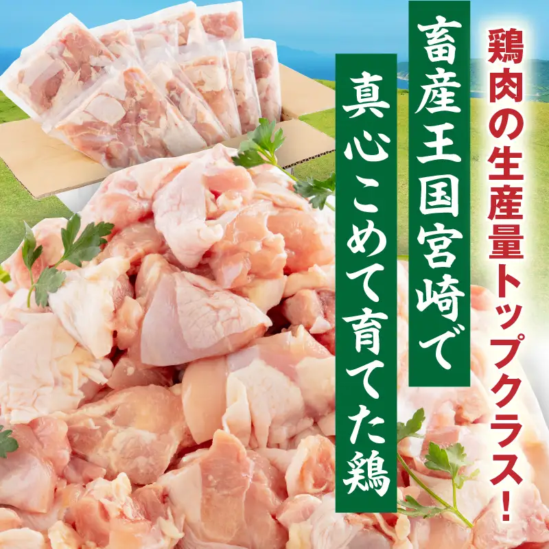 【隔月発送】【6回定期便】宮崎県産 若鶏もも肉 300g×10P 計3kg 鶏 鶏肉 若鶏 モモ肉 鶏モモ からあげ チキン南蛮 焼き鳥 シチュー カット済 真空パック