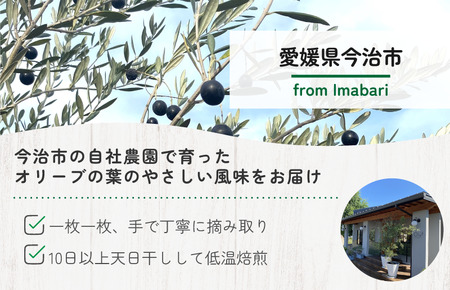 オリーブのシズク（オリーブ茶2・オリーブ玄米茶3）【V002680】