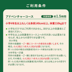 【アドベンチャーコース】フォレストアドベンチャー・おおすみ 体験 チケット (1名分)【フォレストアドベンチャー・おおすみ】 A962