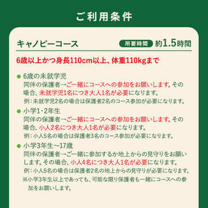 【キャノピーコース】フォレストアドベンチャー・おおすみ 体験 チケット (1名分)【フォレストアドベンチャー・おおすみ】 A963
