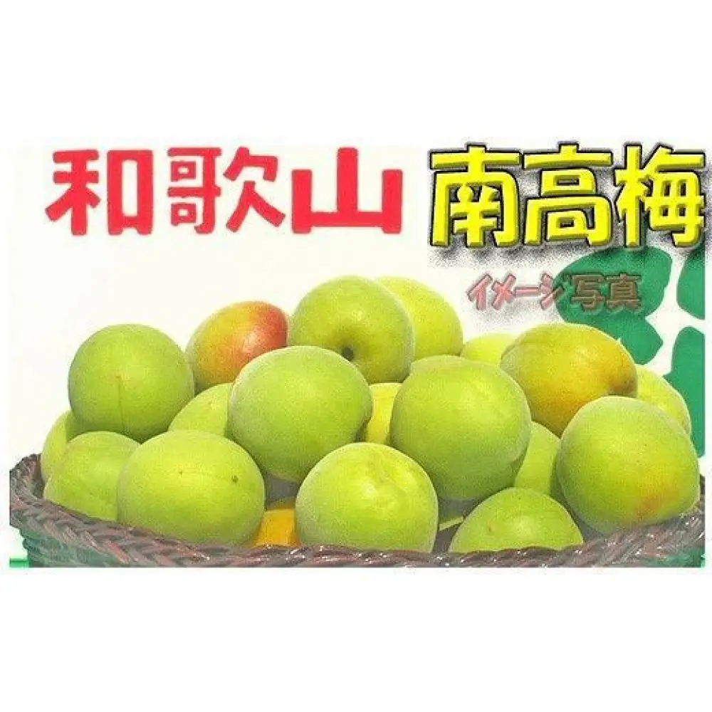 ［梅干・梅酒用］小粒（SまたはM－3Kg）熟南高梅＜2026年6月下旬～7月中旬発送予定＞フルーツ 果物 くだもの 食品 人気 おすすめ 送料無料［ART20］