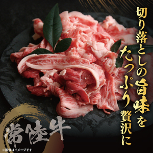 【茨城県共通返礼品】常陸牛切り落とし1kg（500g×2）｜ブランド牛 銘柄牛 和牛 黒毛和牛 国産 A5・A4ランク 等級 お肉 牛肉 牛丼 すき焼き 炒め物 小分け 茨城県 大子町（DD010）