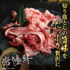 【茨城県共通返礼品】【真空パック】常陸牛切り落とし800g（200g×4）｜ブランド牛 銘柄牛 和牛 黒毛和牛 国産 A5・A4ランク 等級 お肉 牛肉 牛丼 すき焼き 炒め物 小分け 茨城県 大子町（DD016）