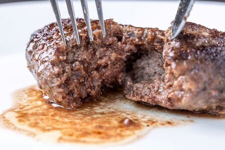 肉の旨み際立つ！信州アルプス牛100％　ステーキハンバーグ　6個入り　合計720g(120g×６個　ヤンニョム入り和風ソース付き)