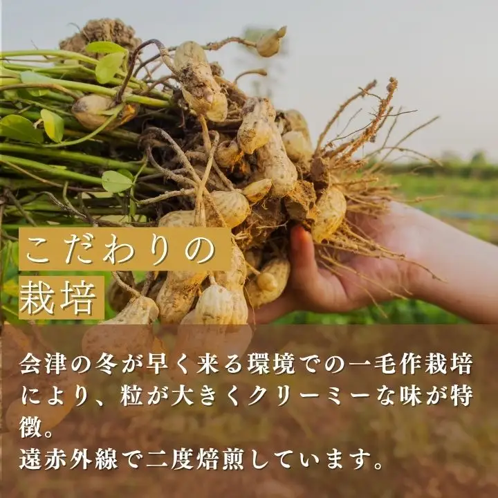 ピーナッツ　国産　会津産手むき素焼きうまピー×15袋　小分け　80g　1５袋　農福連携　手剥き【07208-0772】