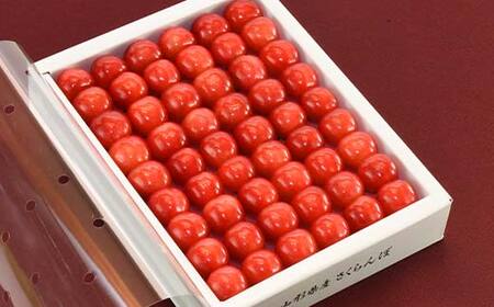 さくらんぼ 佐藤錦 300g L玉 特秀 手詰めギフト 山形県産 化粧箱入り 【令和8年度 先行予約】 FSY-2263