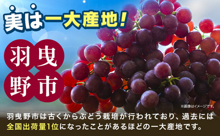 デラウェア ご家庭用デラウェア  約1.2kg