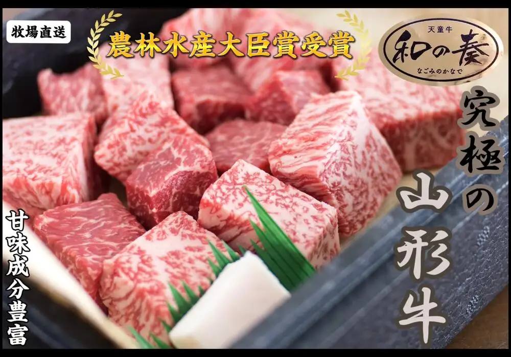 農林水産大臣賞受賞 特選 天童牛 和の奏 角切り ステーキ 500g 山形牛 08-27-012