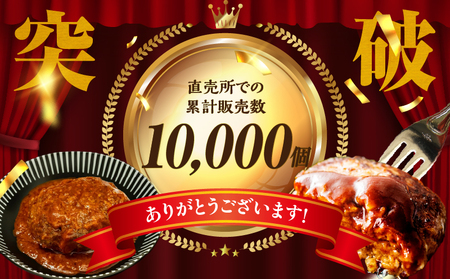 【レンジでプロ味！】極上黒毛和牛 100％プレミアムハンバーグ 黒毛和牛 高千穂牛 牛ハンバーグ ハンバーグ 惣菜 お弁当 おかず 加工品 レンジ調理 レンチン 冷凍 簡単調理 お取り寄せ ご当地 グルメ 宮崎県 高千穂町_Tk005-103