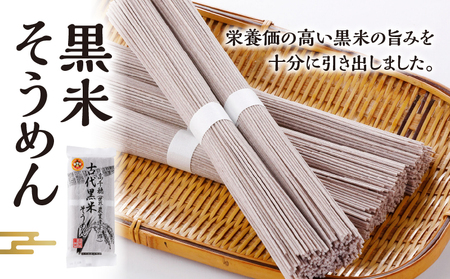 古代黒米そうめん 麺類 そうめん 素麺 麺 特産品 古代米 黒米 黒米そうめん お取り寄せ ご当地 グルメ 宮崎県 高千穂町 _Tk005-108