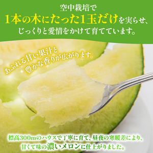 グレースメロン 1玉  フルーツ 果物 贈答用 メロン