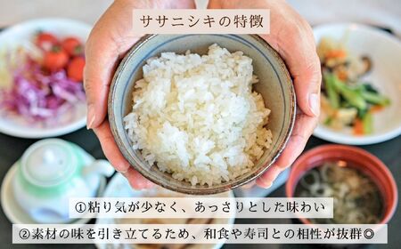 米 【5kg】 令和7年産 ササニシキ 長野県産 【七〇八米】7-83