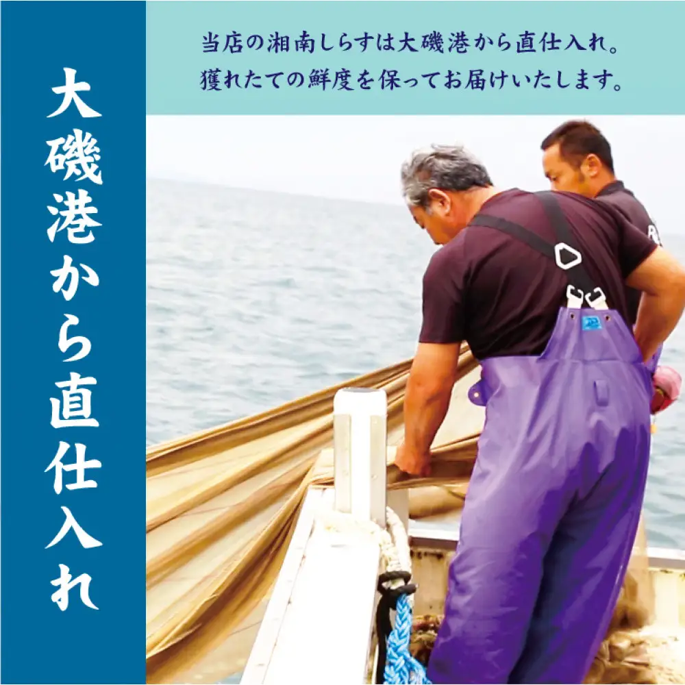 湘南しらす　3色セット
